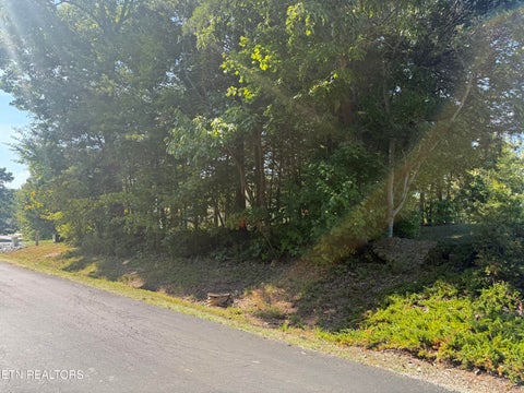 Tiny photo for 434 Igoti Lane, Loudon, TN 37774 (MLS # 1355866)