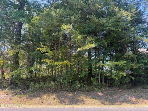 Photo of 434 Igoti Lane, Loudon, TN 37774 (MLS # 1355866)