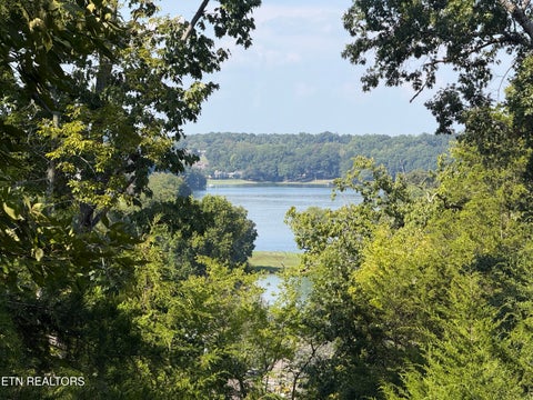 Tiny photo for 434 Igoti Lane, Loudon, TN 37774 (MLS # 1355866)