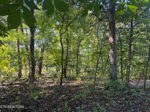 Tiny photo for 434 Igoti Lane, Loudon, TN 37774 (MLS # 1355866)