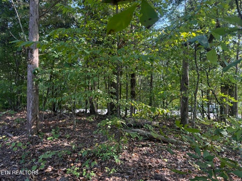 Tiny photo for 434 Igoti Lane, Loudon, TN 37774 (MLS # 1355866)