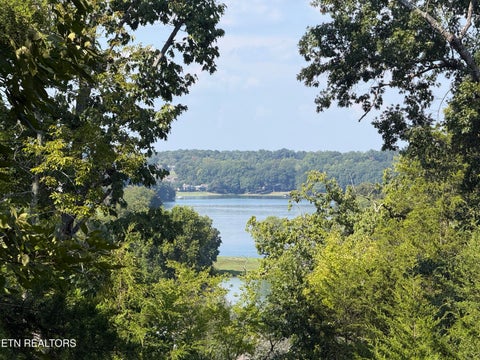 Tiny photo for 434 Igoti Lane, Loudon, TN 37774 (MLS # 1355866)