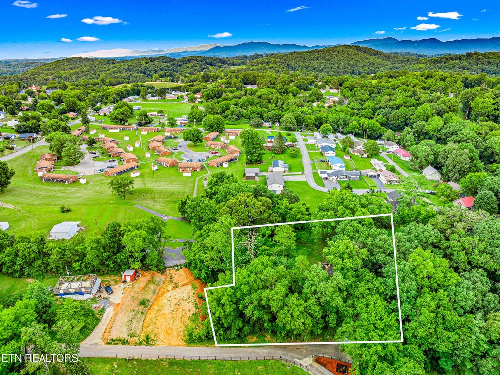 Photo of 278 Harvest St, Newport, TN 37821 (MLS # 1308151)