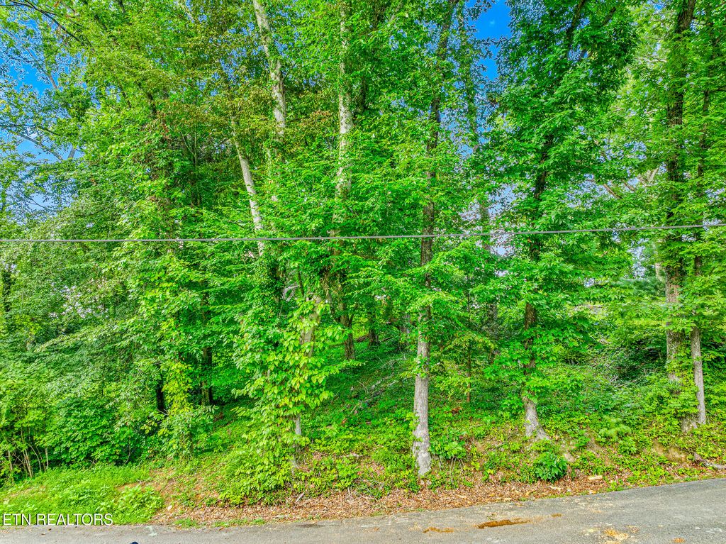 Photo of 278 Harvest St, Newport, TN 37821 (MLS # 1308151)