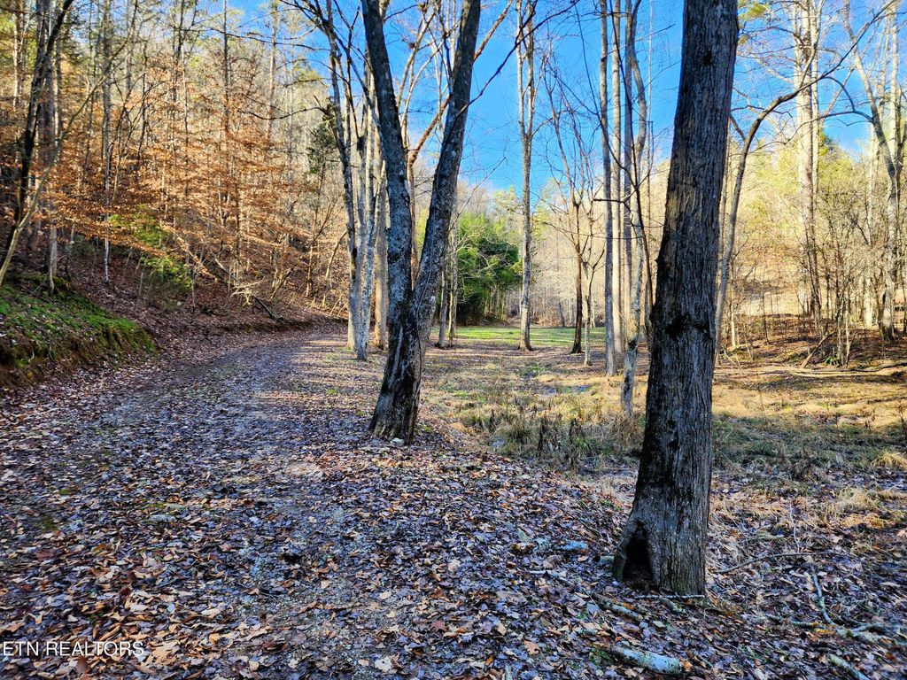 Photo of 527 Smokey Branch Rd, Vonore, TN 37885 (MLS # 1290700)