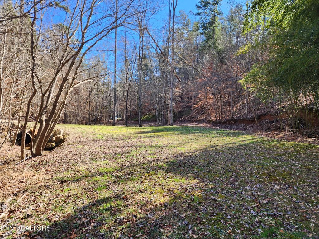 Photo of 527 Smokey Branch Rd, Vonore, TN 37885 (MLS # 1290700)