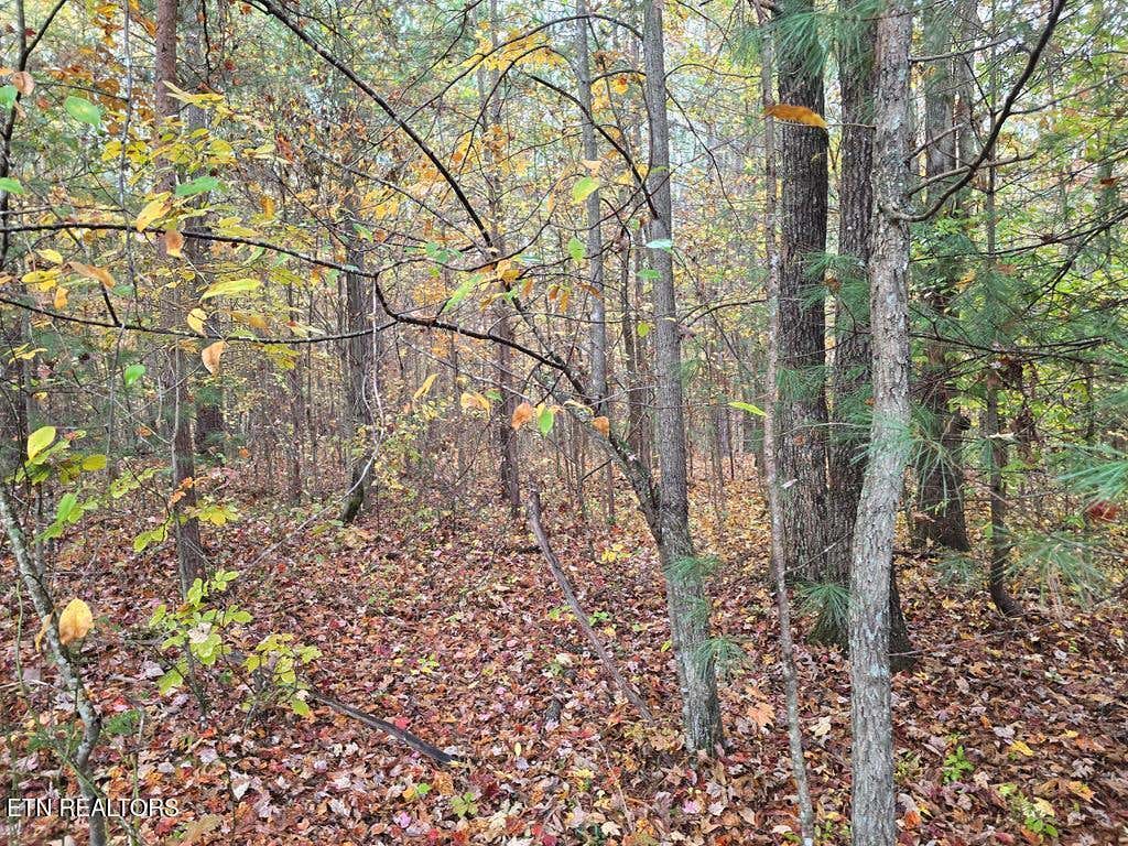 Photo of 737 W Robbins Rd, Robbins, TN 37852 (MLS # 1310873)