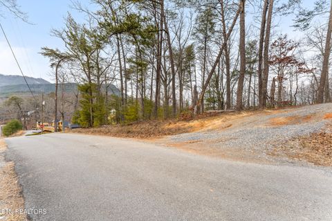 Tiny photo for 1634 S Mountain View Rd, Sevierville, TN 37876 (MLS # 1328279)