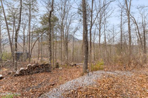 Tiny photo for 1634 S Mountain View Rd, Sevierville, TN 37876 (MLS # 1328279)
