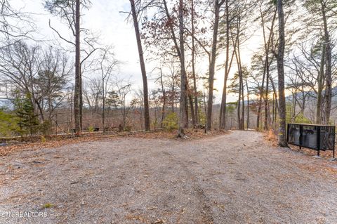 Tiny photo for 1634 S Mountain View Rd, Sevierville, TN 37876 (MLS # 1328279)