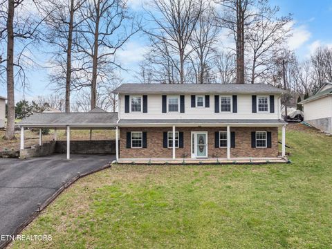 Photo of 186 Broyles Drive, Caryville, TN 37714 (MLS # 1333519)