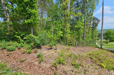 Photo of Sutherland Drive, Helenwood, TN 37755 (MLS # 1320488)