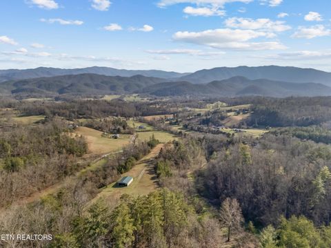 Tiny photo for 634 Old Cedar Creek Rd, Townsend, TN 37882 (MLS # 1338741)