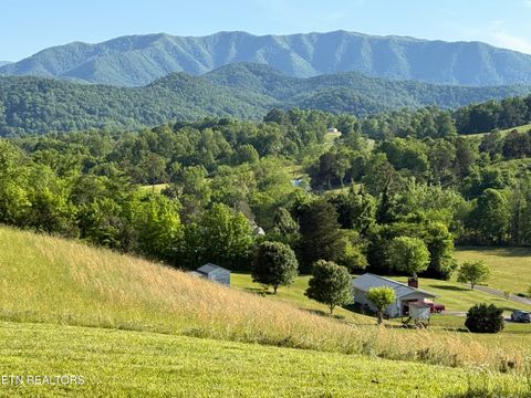 Tiny photo for 634 Old Cedar Creek Rd, Townsend, TN 37882 (MLS # 1338741)