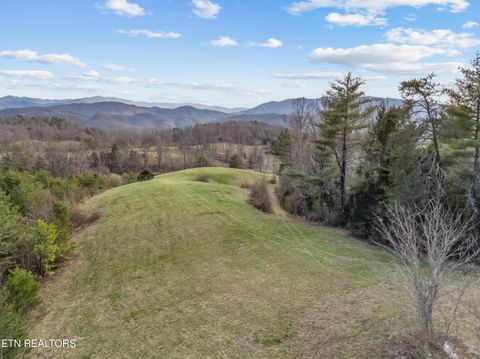 Tiny photo for 634 Old Cedar Creek Rd, Townsend, TN 37882 (MLS # 1338741)