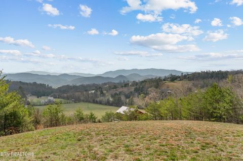 Tiny photo for 634 Old Cedar Creek Rd, Townsend, TN 37882 (MLS # 1338741)