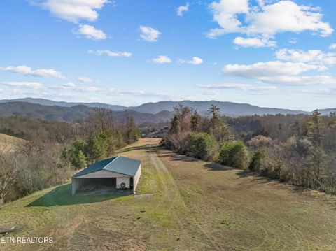 Tiny photo for 634 Old Cedar Creek Rd, Townsend, TN 37882 (MLS # 1338741)