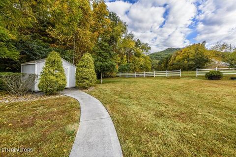 Tiny photo for 634 Old Cedar Creek Rd, Townsend, TN 37882 (MLS # 1338741)