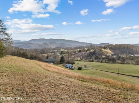 Tiny photo for 634 Old Cedar Creek Rd, Townsend, TN 37882 (MLS # 1338741)