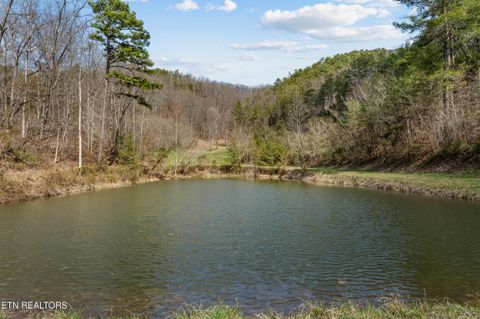 Tiny photo for 634 Old Cedar Creek Rd, Townsend, TN 37882 (MLS # 1338741)