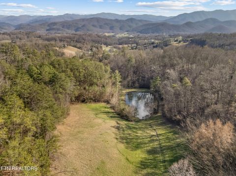 Tiny photo for 634 Old Cedar Creek Rd, Townsend, TN 37882 (MLS # 1338741)