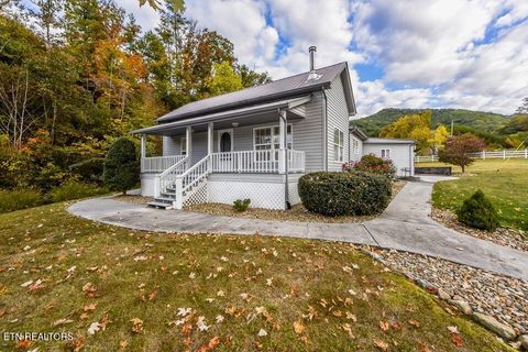 Tiny photo for 634 Old Cedar Creek Rd, Townsend, TN 37882 (MLS # 1338741)