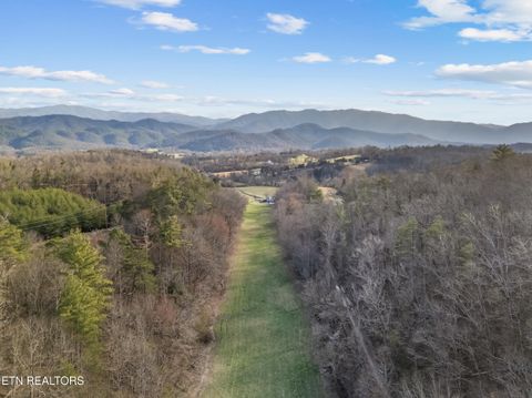 Tiny photo for 634 Old Cedar Creek Rd, Townsend, TN 37882 (MLS # 1338741)