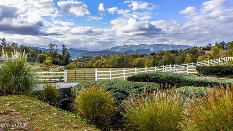 Photo of 634 Old Cedar Creek Rd, Townsend, TN 37882 (MLS # 1338741)