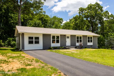 2318 Black Bear Rd Knoxville TN 37923