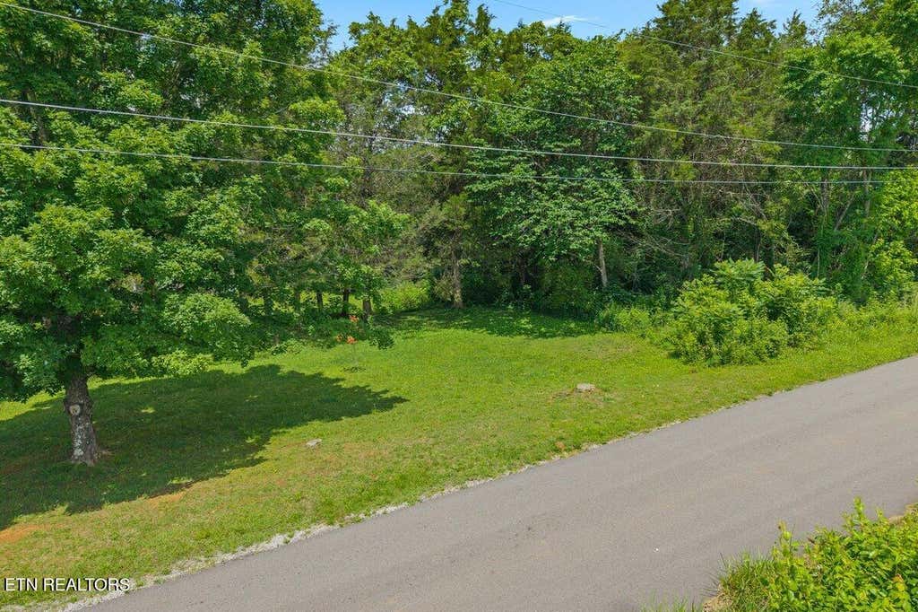 Photo of 000 Buck Brown St, Englewood, TN 37329 (MLS # 1342691)