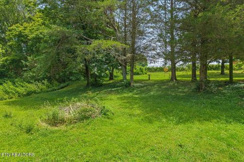 Photo of 000 Buck Brown St, Englewood, TN 37329 (MLS # 1342691)