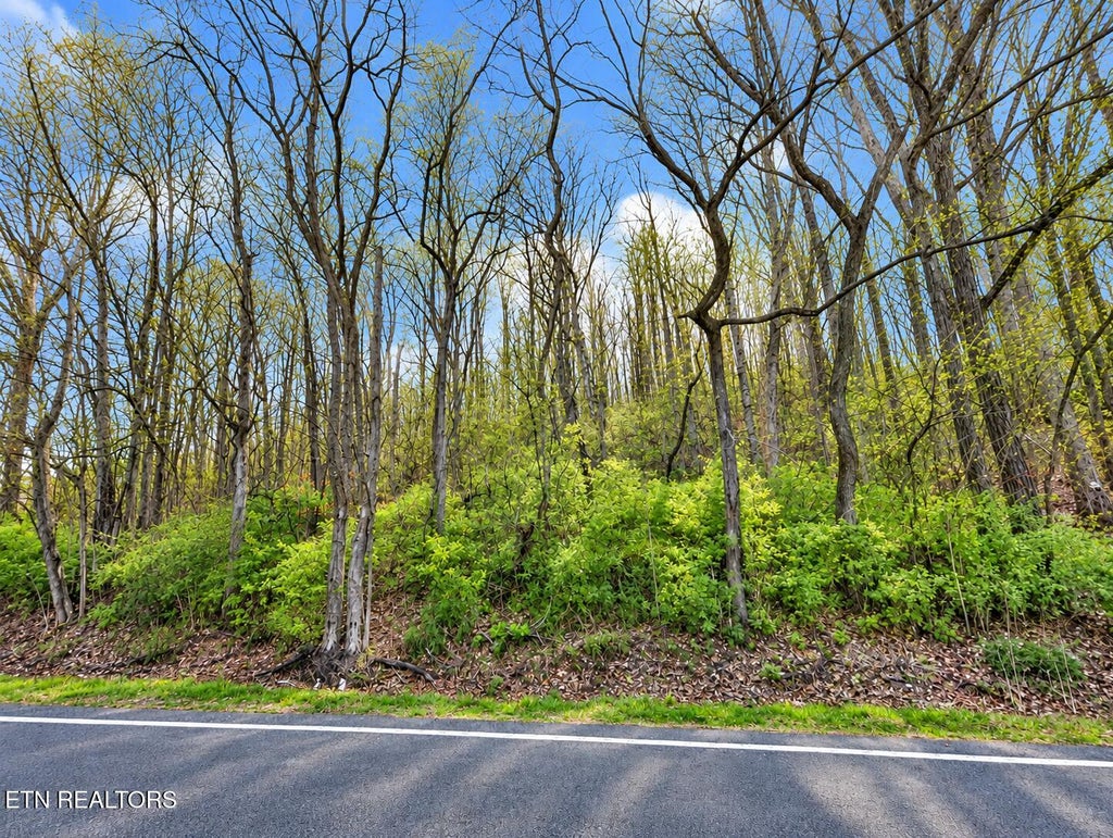 Photo of Oakland Rd, Sweetwater, TN 37874 (MLS # 1358160)