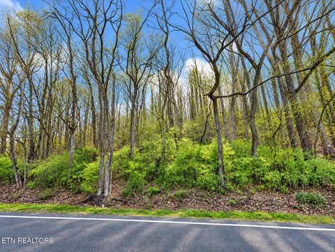 Photo of Oakland Rd, Sweetwater, TN 37874 (MLS # 1358160)