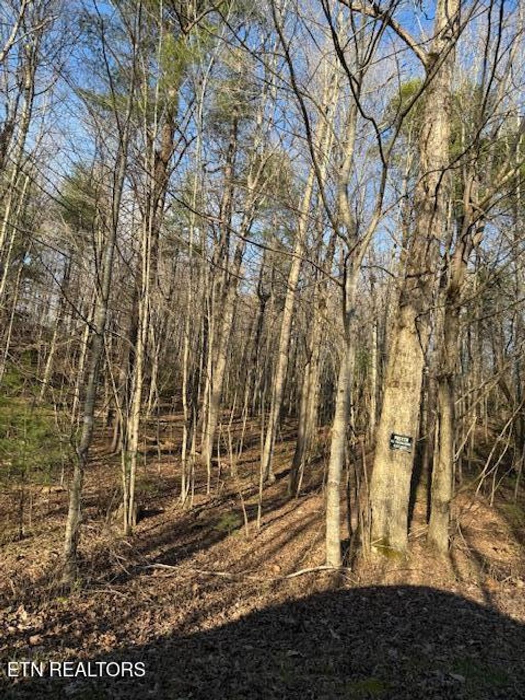Photo of Bear Hollow Rd, Oneida, TN 37841 (MLS # 1333588)