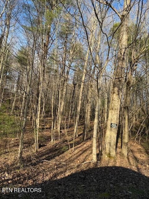 Photo of Bear Hollow Rd, Oneida, TN 37841 (MLS # 1333588)