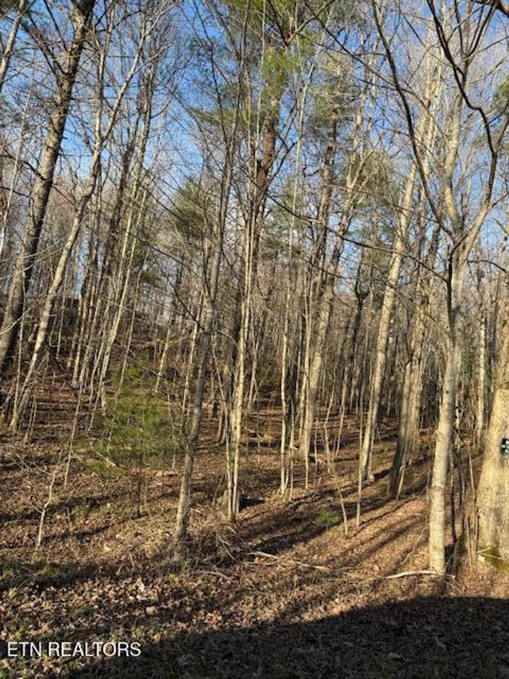 Photo of Bear Hollow Rd, Oneida, TN 37841 (MLS # 1333588)