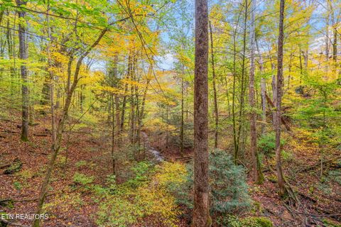 Tiny photo for 205 Tobby Hollow Lane, Knoxville, TN 37931 (MLS # 1328691)