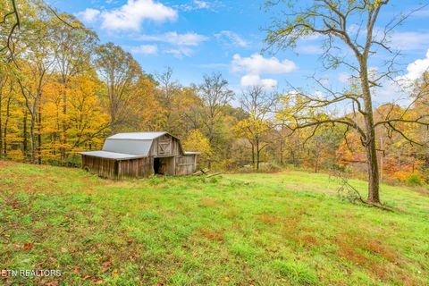 Tiny photo for 205 Tobby Hollow Lane, Knoxville, TN 37931 (MLS # 1328691)