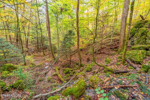 Tiny photo for 205 Tobby Hollow Lane, Knoxville, TN 37931 (MLS # 1328691)