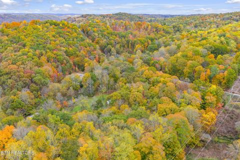 Tiny photo for 205 Tobby Hollow Lane, Knoxville, TN 37931 (MLS # 1328691)