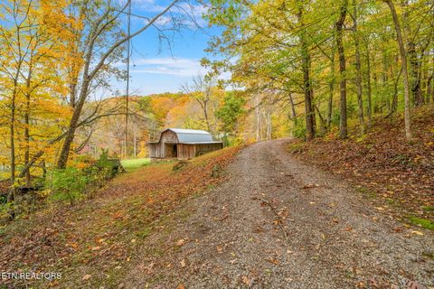 Tiny photo for 205 Tobby Hollow Lane, Knoxville, TN 37931 (MLS # 1328691)