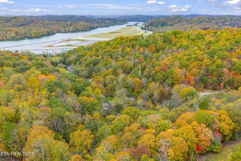 Tiny photo for 205 Tobby Hollow Lane, Knoxville, TN 37931 (MLS # 1328691)