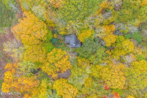 Tiny photo for 205 Tobby Hollow Lane, Knoxville, TN 37931 (MLS # 1328691)