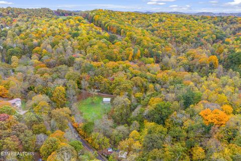 Tiny photo for 205 Tobby Hollow Lane, Knoxville, TN 37931 (MLS # 1328691)