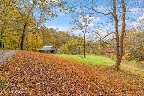 Tiny photo for 205 Tobby Hollow Lane, Knoxville, TN 37931 (MLS # 1328691)