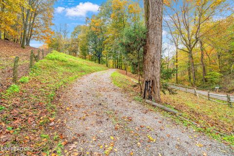 Tiny photo for 205 Tobby Hollow Lane, Knoxville, TN 37931 (MLS # 1328691)