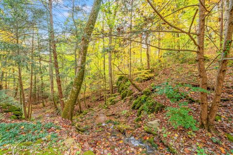 Tiny photo for 205 Tobby Hollow Lane, Knoxville, TN 37931 (MLS # 1328691)
