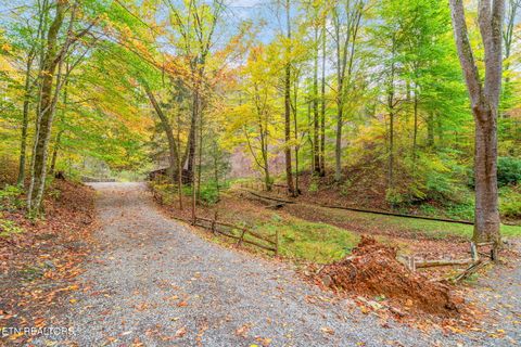 Tiny photo for 205 Tobby Hollow Lane, Knoxville, TN 37931 (MLS # 1328691)