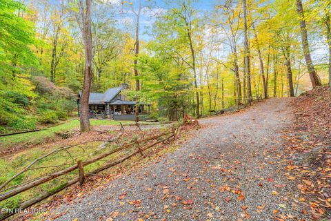 Tiny photo for 205 Tobby Hollow Lane, Knoxville, TN 37931 (MLS # 1328691)