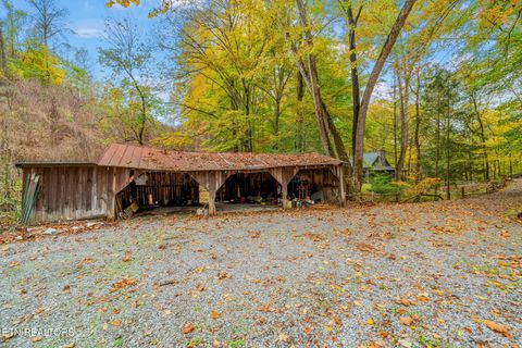 Tiny photo for 205 Tobby Hollow Lane, Knoxville, TN 37931 (MLS # 1328691)